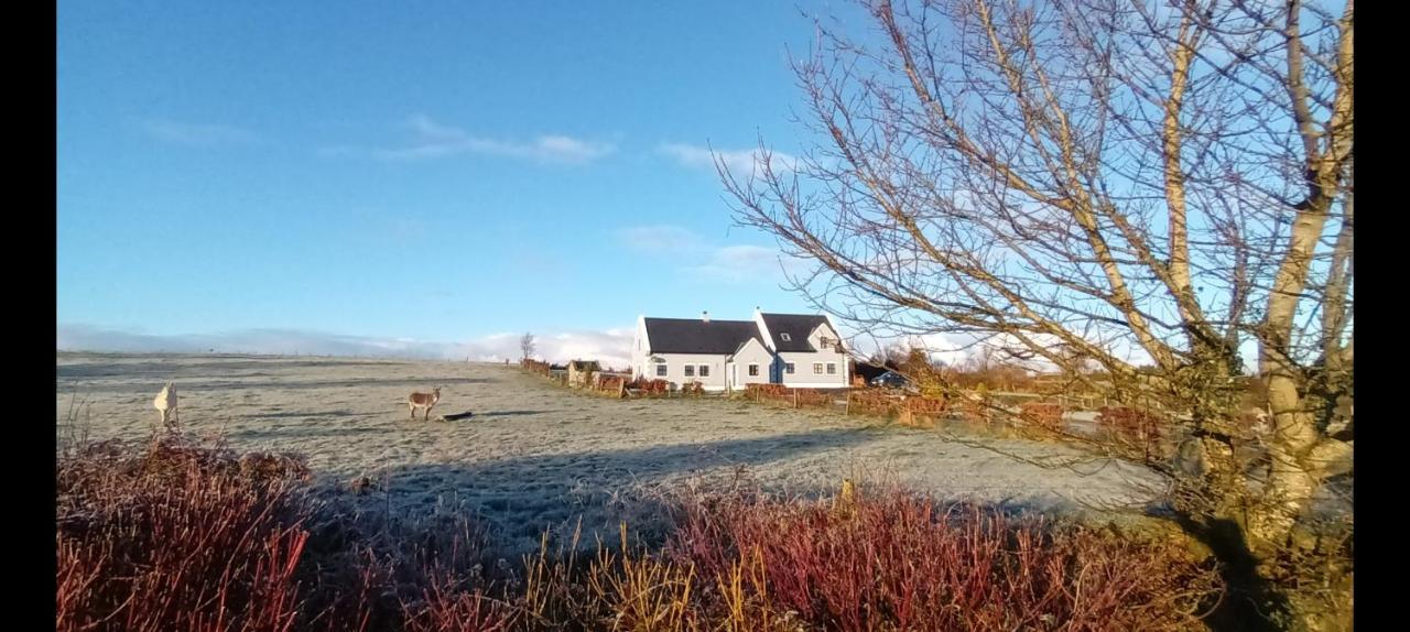 Self Catering Upstairs Apartment At Tradcottage Sligo Exterior photo